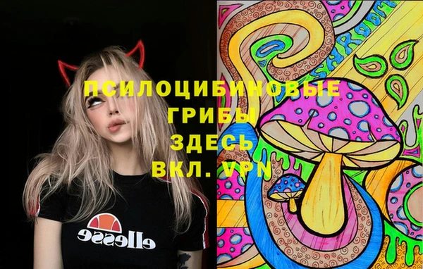 гидропоника Рославль
