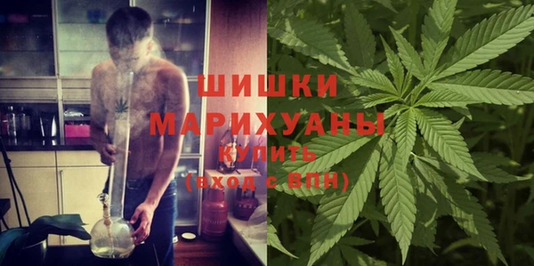 гидропоника Рославль