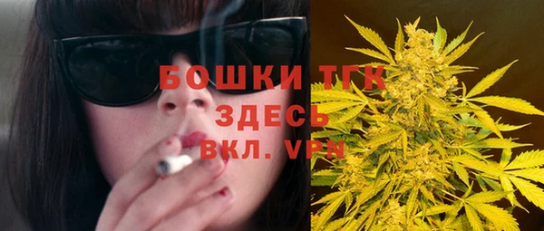 гидропоника Рославль
