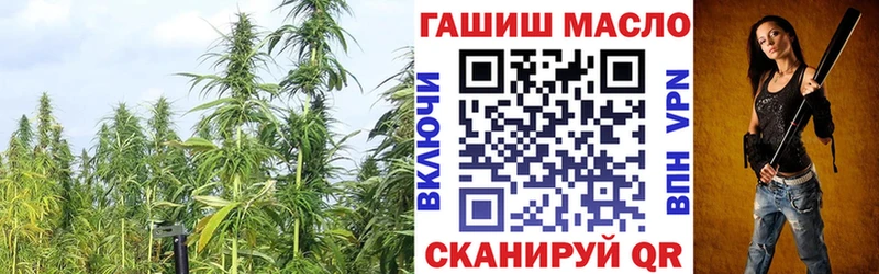 Купить  Электроугли  ТГК концентрат 